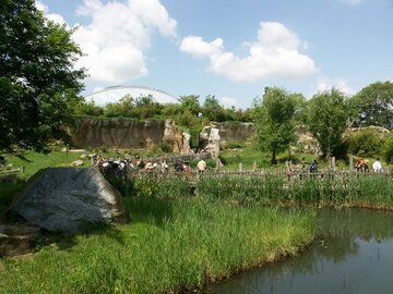 Deutschland: Zoo Leipzig feiert 20 Jahre „Pongoland“