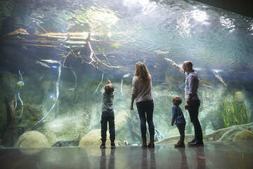 Deutschland: Zoo Leipzig eröffnet modernisiertes Aquarium 