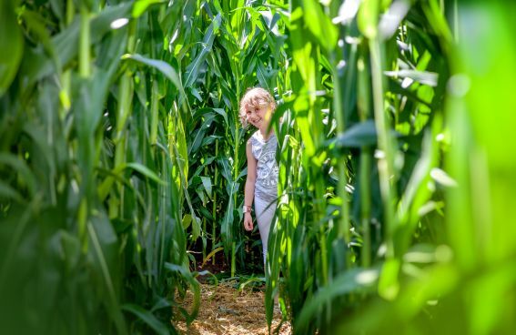 Germany: Karls Erlebnis-Dorf Elstal Launches Two New Summer Attractions