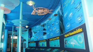 USA/Mexiko: Miami Seaquarium geht in Portfolio der Dolphin Company über