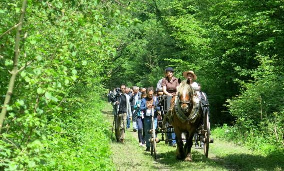 France: Parc du Petit Prince and L’Ecomusée d’Alsace Use Synergy Effects