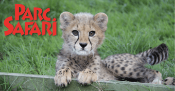 Kanada: Parc Safari schließt Dreijahresvertrag mit Connect&GO 
