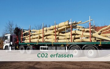 Deutschland: SIK-Holz richtet sich als klimaneutrales Unternehmen aus