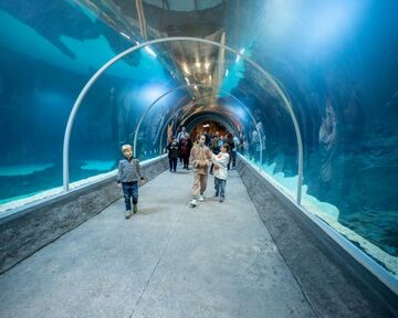 The 26-meter long underwater tunnel is the highlight of the new zoo complex.