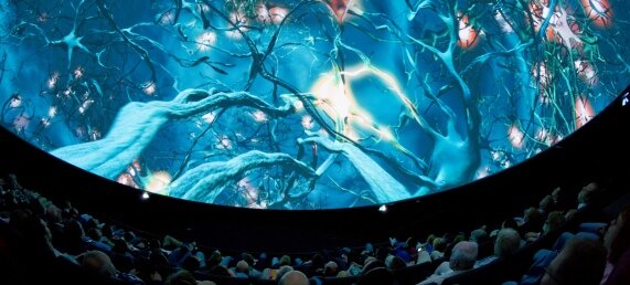 MotionDome Experiences