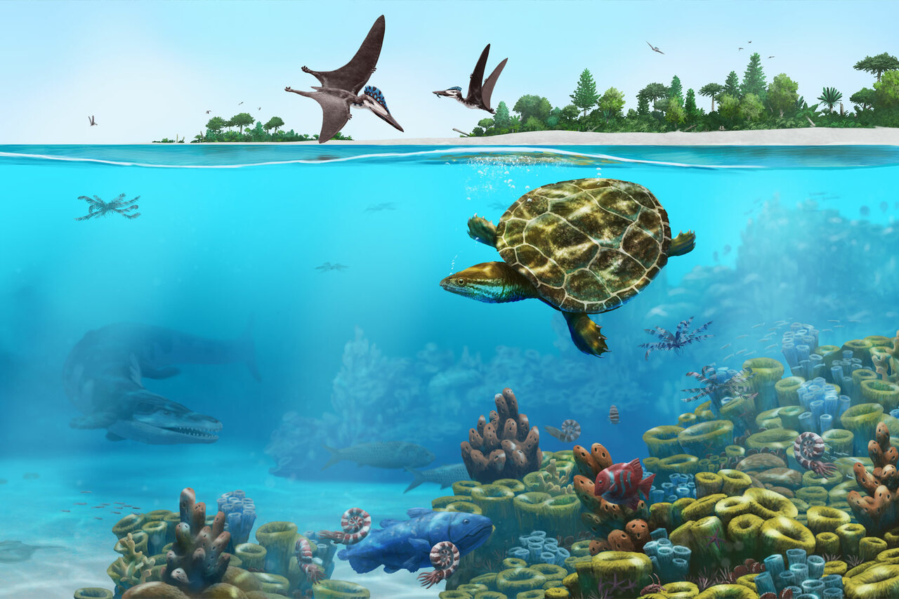 Special Find to Draw Prehistory Enthusiasts to Dinosaur Museum Altmühltal