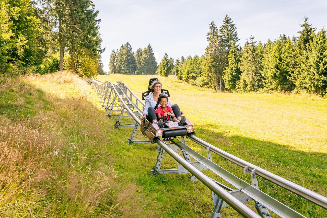 Ein SpeedCoaster für den Erlebnisberg Altenberg geplant
