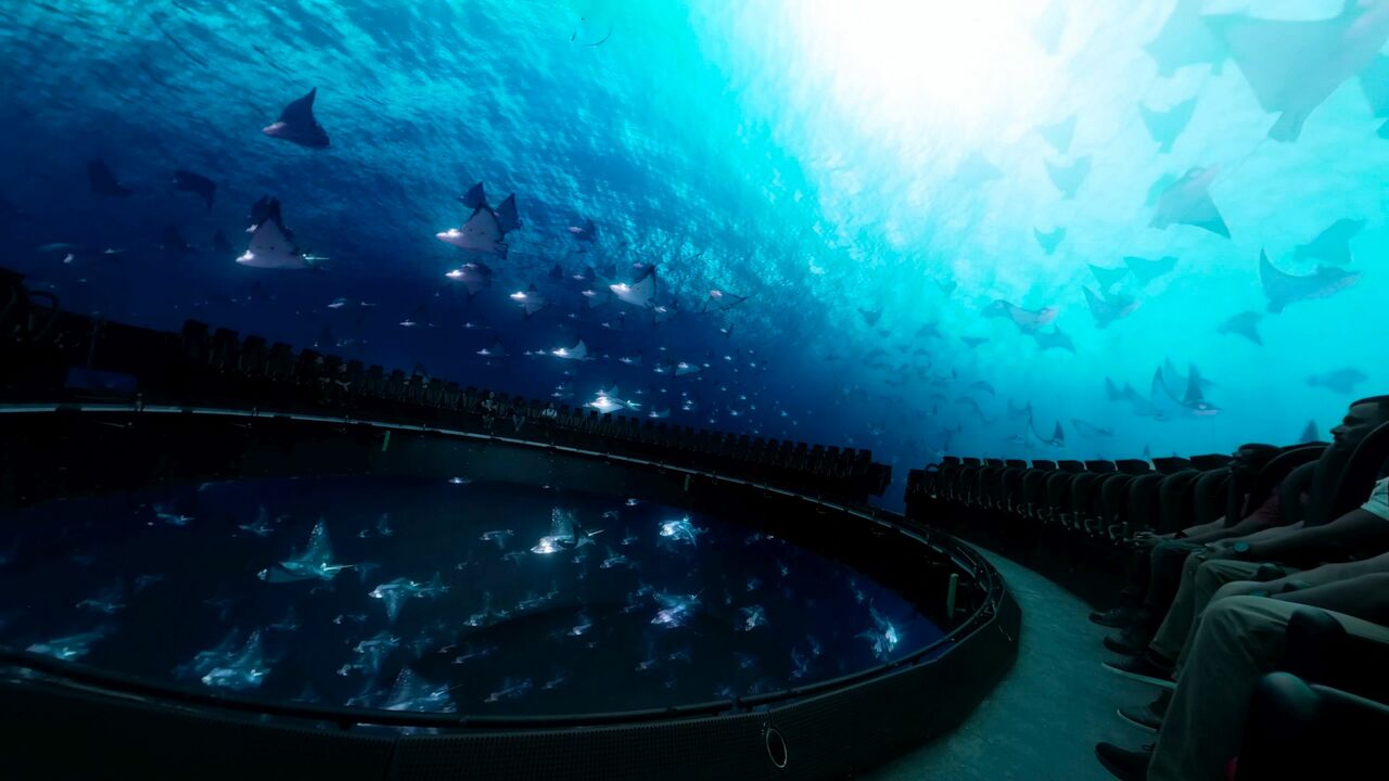 Hypersphere 360° at SeaWorld®  Yas Island Abu Dhabi