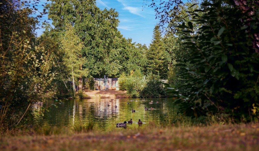 Germany: Center Parcs Presents New Brand Identity & Strategy