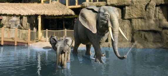 Weissenhäuser Beach Resort Park