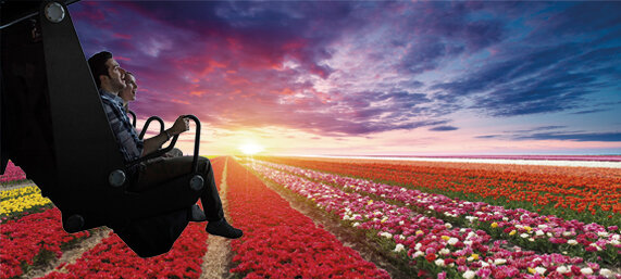 This is Holland