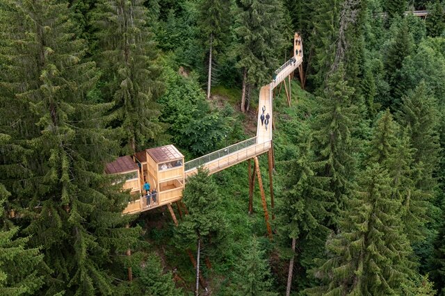 Switzerland: Longest Treetop Path in The World Opens