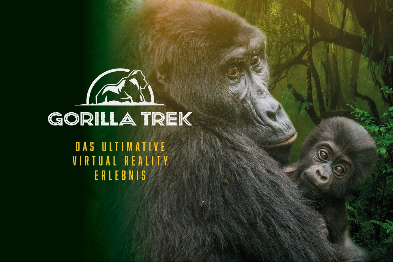 Edutainment at Leipzig Zoo: VR Immerses into Rwanda Rainforest
