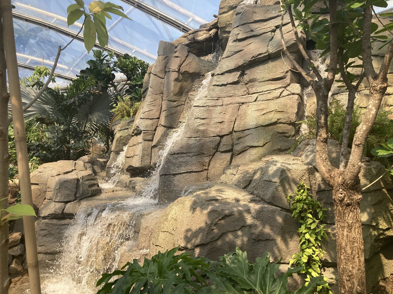 Allwetterzoo Münster in Germany Opens New Meranti Hall