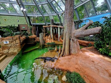 Terrarium im Zoo Leipzig nach Modernisierung wiedereröffnet
