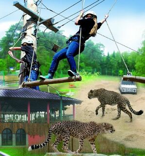 Two New Attractions for Germany’s Zoo Safaripark Stukenbrock