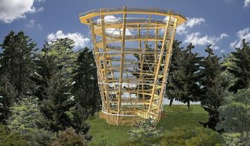 Germany: New Treetop Trail Opens in the Black Forest 