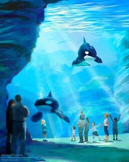 USA: SeaWorld to Build New Killer Whale Environments