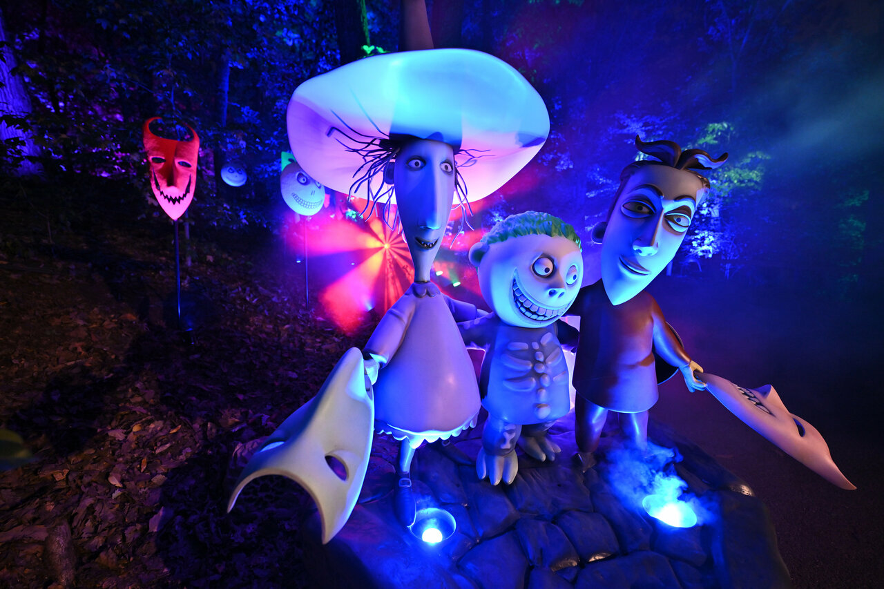 „Tim Burtons The Nightmare Before Christmas“ Light Trail im NYBG