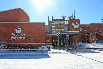 USA: The Maritime Aquarium at Norwalk Offers Visitors New 4D Theater Experience