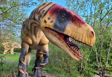 The ‘Big Five +’ of Prehistoric Times at Teufelsschlucht Dino Park