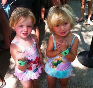 Successful Launch of Q-Band & Internal Restructuring for Lo-Q