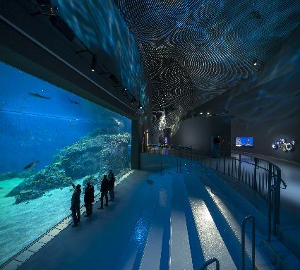 Dänemark: Nordeuropas größtes Aquarium am Öresund eröffnet