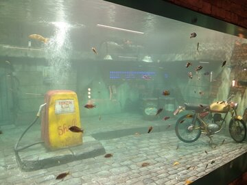 Schweiz: Neues Großaquarium ergänzt Freizeit- und Businesszentrum in Langenthal
