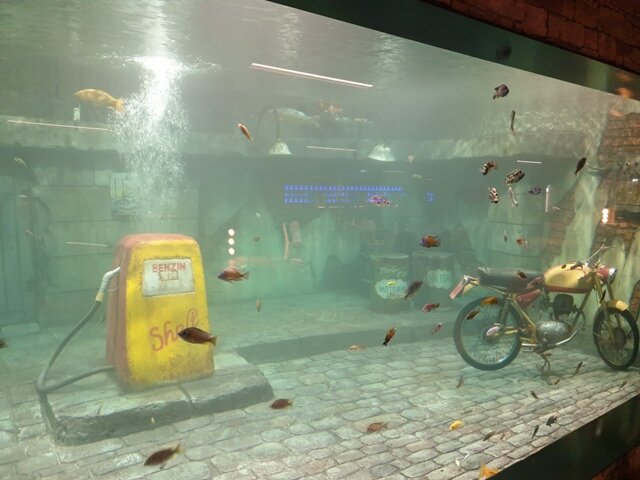 Schweiz: Neues Großaquarium ergänzt Freizeit- und Businesszentrum in Langenthal