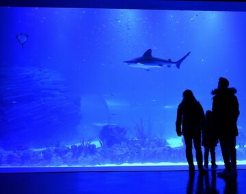 Spain: Parques Reunidos Opens New Aquarium in Madrid