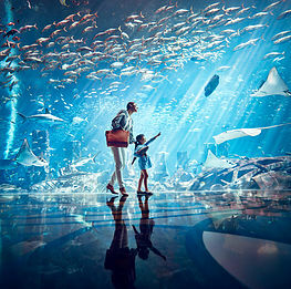 China: Neues Atlantis-Resort auf Hainan eröffnet