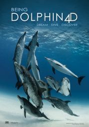 „Being Dolphin 4D“: Neue 4D-Filmattraktion für Zoos, Aquarien & Themenparks