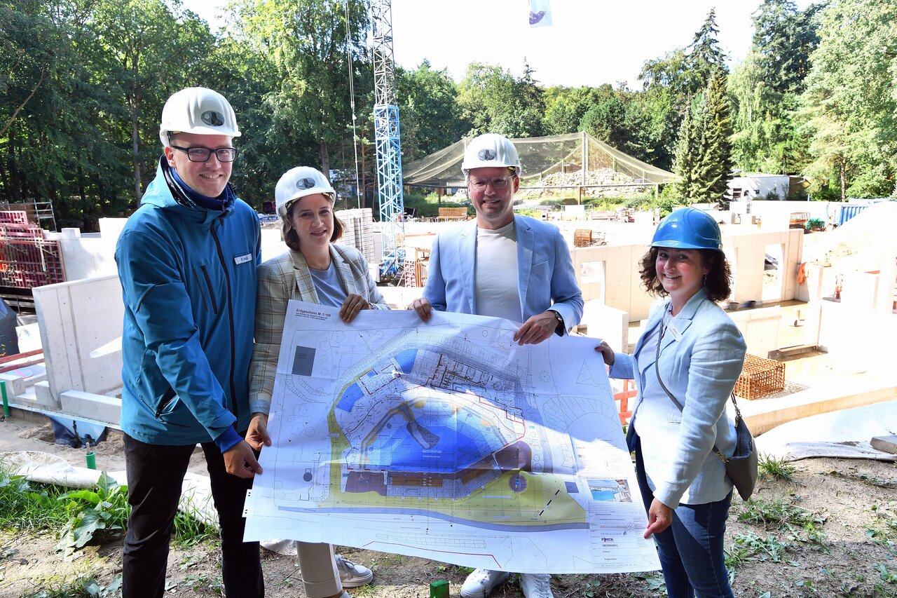 Zoo Rostock: Bauarbeiten an neuer Robbenanlage schreiten voran
