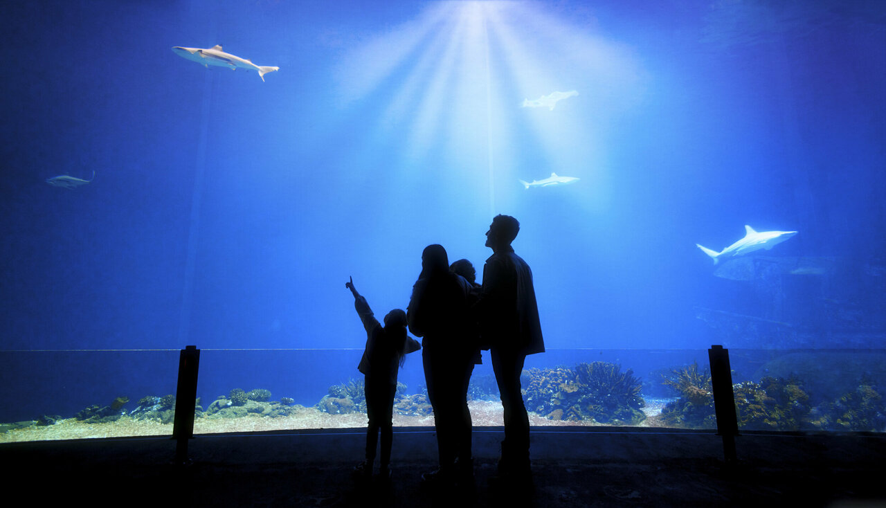 Burgers’ Zoo Awarded with Two Michelin Stars