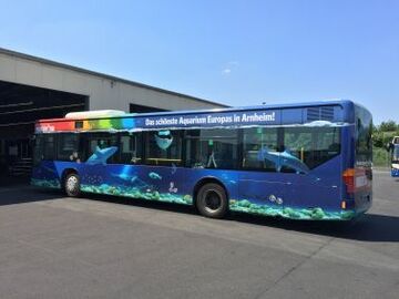 Netherlands: Burgers’ Zoo Starts Mobile Marketing Concept