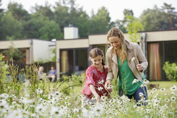 Germany: Center Parcs Bispinger Heide Celebrates its 20th Anniversary
