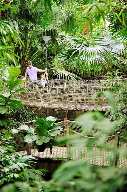 Floriade Teams with Center Parcs