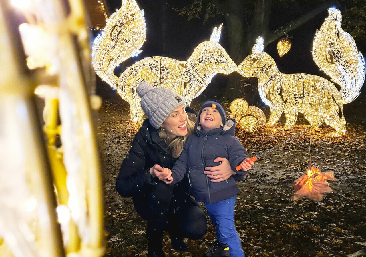 Wildpark Schwarze Berge: „Lumagica“ lockt mit 3D-Lichtmotiven