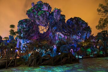 Avatar Land Coming to Disneyland Resort 