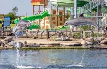 NL: Dolfinarium Harderwijk Announces Transformation Plans to Become Modern Zoo