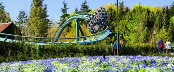 Niederlande: Efteling freut sich über neuen Besucherrekord mit 5,18 Mio. Gästen in 2017