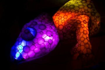 The Netherlands: Colorful Animal Lighting at Holland’s Royal Burgers’ Zoo