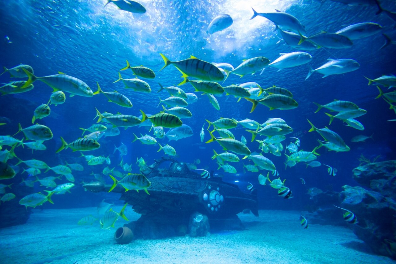 Haichang Ocean Park plant Themenpark-Resort in Saudi-Arabien