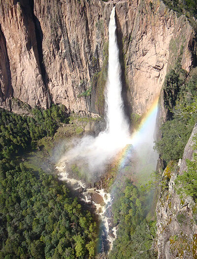 Input Realizes New Project in Mexico