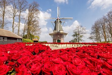 Europe: Resurrection of Theme Parks in Great Britain & Benelux