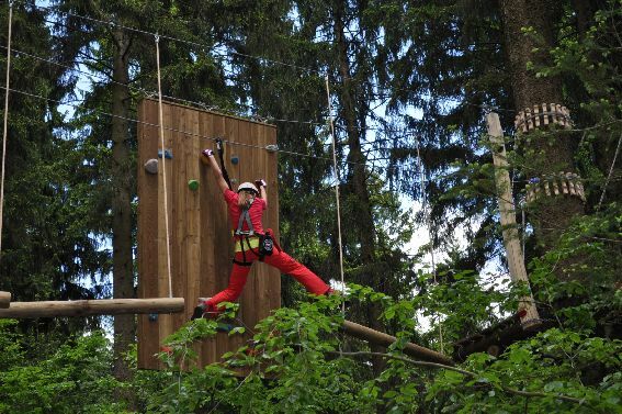 In luftigen Höhen durch den Wild- und Wanderpark