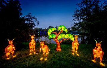 Lichtfiguren sorgen für stimmungsvolle Atmosphäre beim Zoobesuch