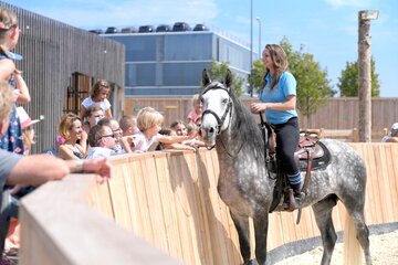 Deutschland: Equilaland heißt jetzt Cavalluna Park