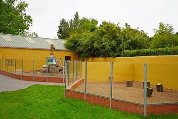 UK: Drayton Manor Zoo Unveils Three New Animal Enclosures