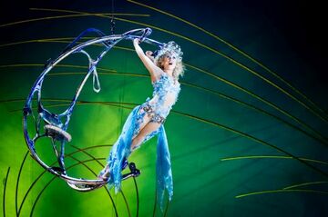 Kanada: Verkauf von Cirque du Soleil-Aktienmehrheit besiegelt 
